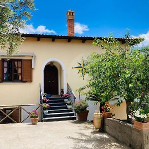 Marysa'S House
